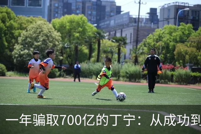 一年骗取700亿的丁宁：从成功到崩溃的贪婪之路