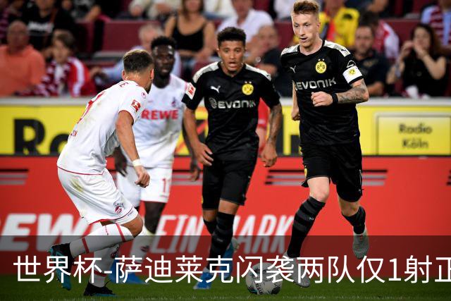 世界杯-萨迪莱克闪袭两队仅1射正 捷克半场暂1-0南非