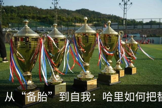 从“备胎”到自我：哈里如何把替补活成主角