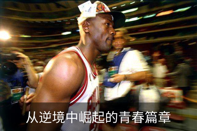 从逆境中崛起的青春篇章