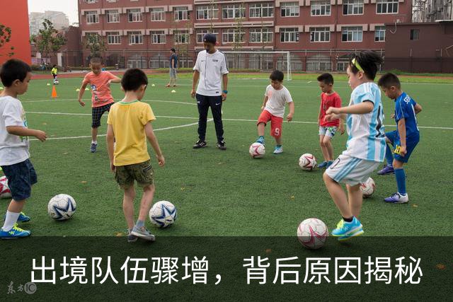 出境队伍骤增，背后原因揭秘