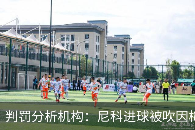 判罚分析机构：尼科进球被吹因梅里诺踩脚犯规在先，裁判判罚正确