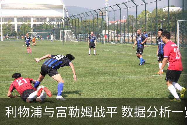 利物浦与富勒姆战平 数据分析一览