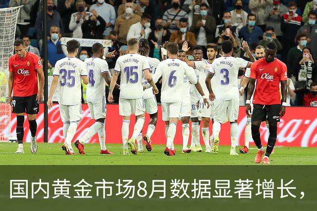 国内黄金市场8月数据显著增长，持仓量再上新高