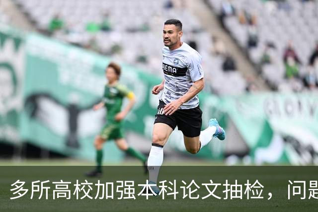 多所高校加强本科论文抽检，问题论文将追责指导教师