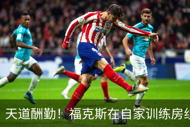 天道酬勤！福克斯在自家训练房组织夏训 文班&托哈&巴恩斯参加