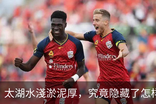 太湖水淺淤泥厚，究竟隐藏了怎样的秘密？
