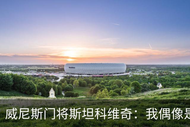 威尼斯门将斯坦科维奇：我偶像是塞萨尔，平常以汉达诺维奇为榜样