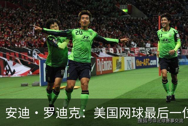 安迪·罗迪克：美国网球最后一位大满贯男单冠军的崛起与新影响力