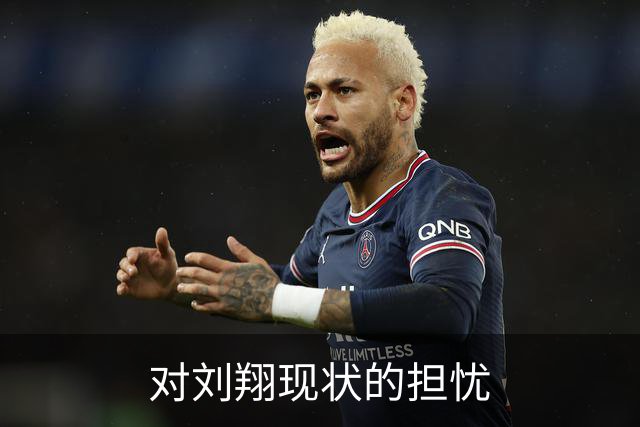 对刘翔现状的担忧