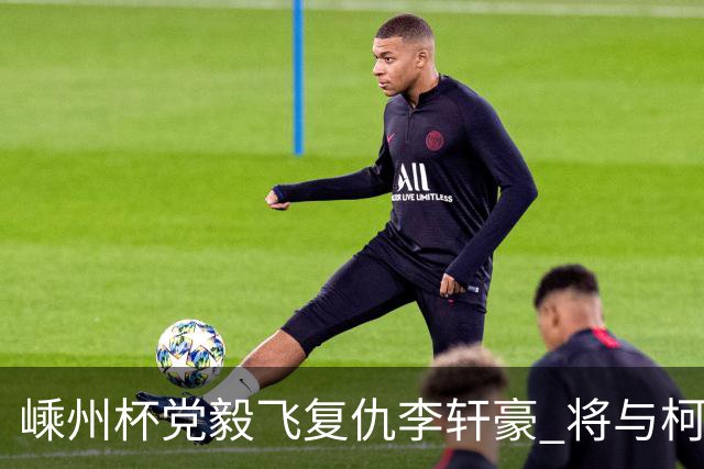 嵊州杯党毅飞复仇李轩豪 将与柯洁争夺王中王