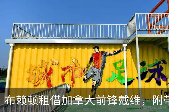 布赖顿租借加拿大前锋戴维，附带强制买断