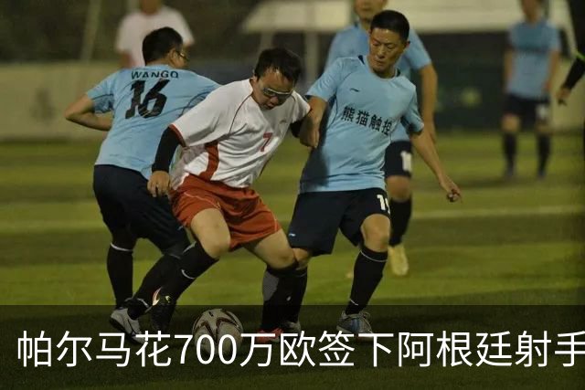 帕尔马花700万欧签下阿根廷射手罗梅罗