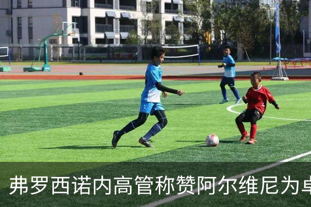 弗罗西诺内高管称赞阿尔维尼为卓越教练