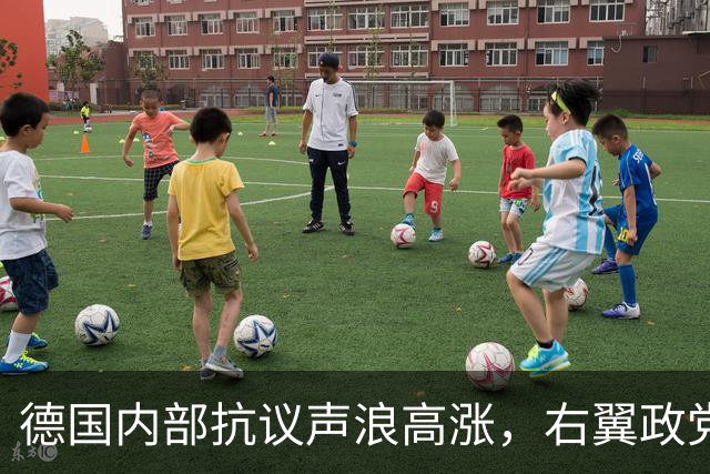 德国内部抗议声浪高涨，右翼政党引发广泛关注与反对