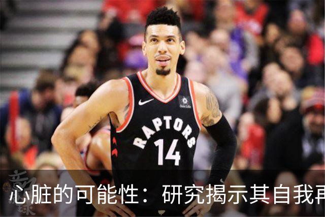 心脏的可能性：研究揭示其自我再生能力