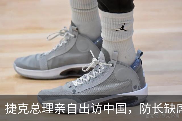 捷克总理亲自出访中国，防长缺席背后的策略