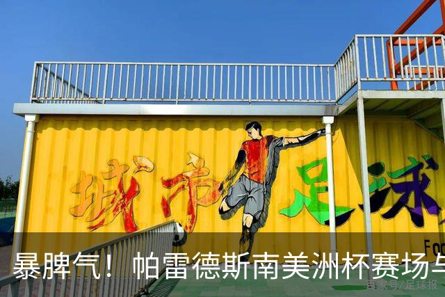 暴脾气！帕雷德斯南美洲杯赛场与主裁贴脸争执，被出示黄牌