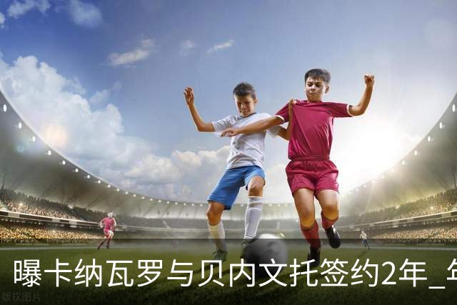 曝卡纳瓦罗与贝内文托签约2年 年薪100万欧