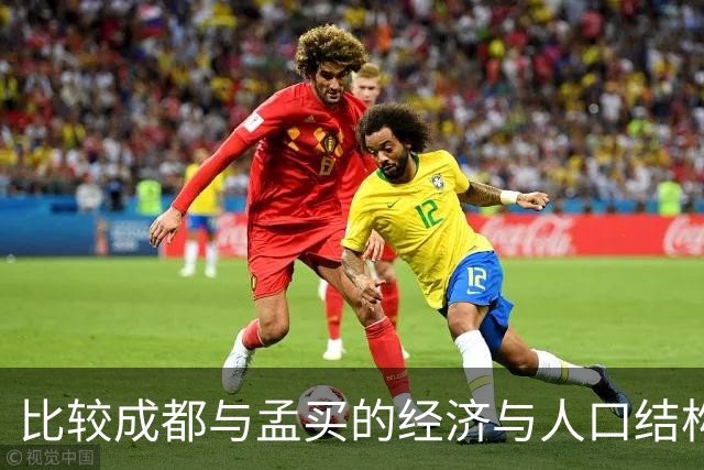 比较成都与孟买的经济与人口结构