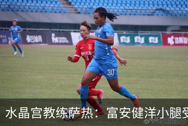 水晶宫教练萨热：富安健洋小腿受伤，但情况不严重