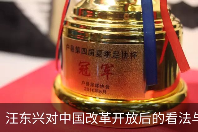 汪东兴对中国改革开放后的看法与生活态度