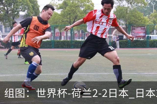 组图：世界杯-荷兰2-2日本 日本2度落后2度扳平