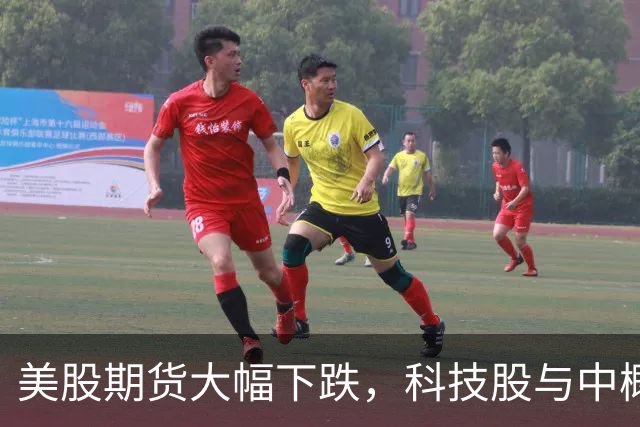 美股期货大幅下跌，科技股与中概股遭遇重挫