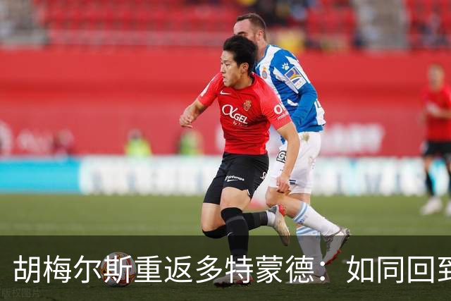 胡梅尔斯重返多特蒙德：如同回到家