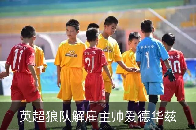 英超狼队解雇主帅爱德华兹