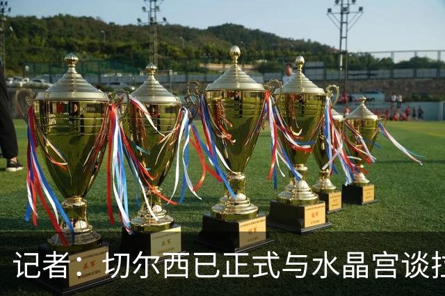 记者：切尔西已正式与水晶宫谈拉克鲁瓦，球员标价至少5500万镑