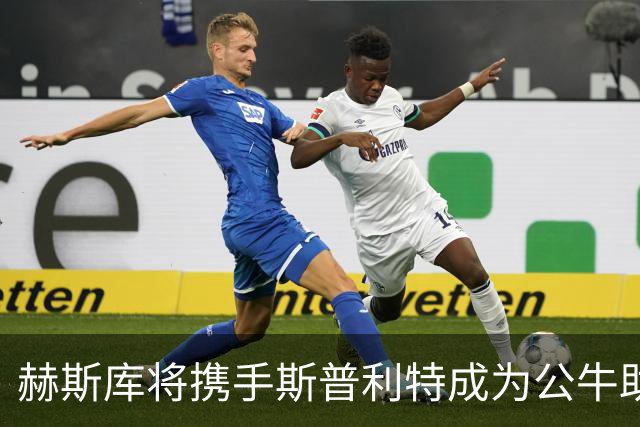 赫斯库将携手斯普利特成为公牛助教 新助理吉布森也将回归