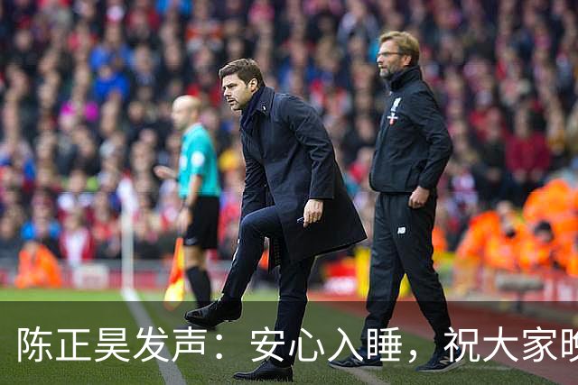 陈正昊发声：安心入睡，祝大家晚安