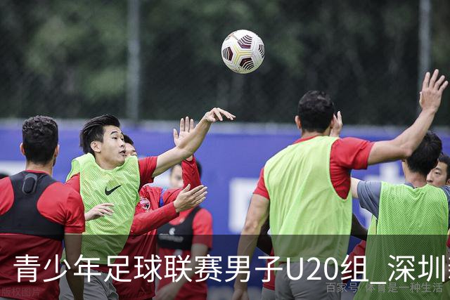 青少年足球联赛男子U20组 深圳新鹏城U20客场1比1广东广州豹U20